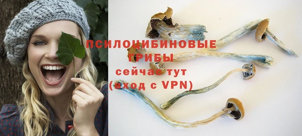 молекула духа Заволжск