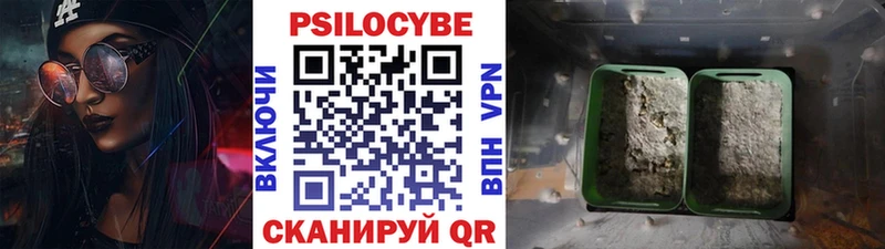 Псилоцибиновые грибы мицелий  Купить  Кологрив 