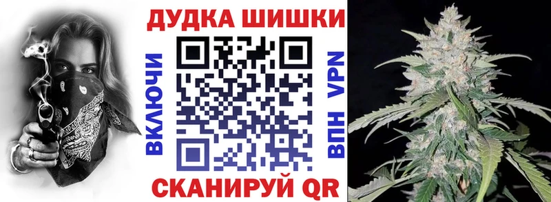 Купить закладки  Кологрив  Каннабис планчик 